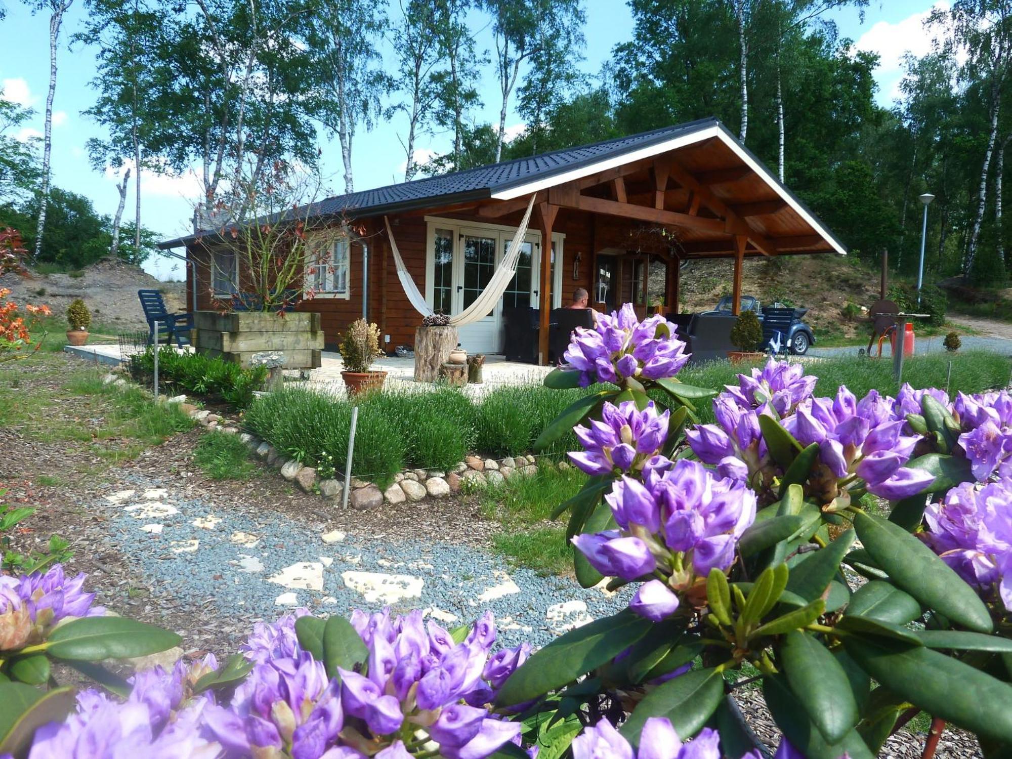Resort Wilsumer Berge Bilik gambar